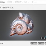 AmmonitesOnSketchfab